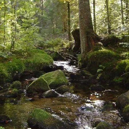 Haus Marlene Kaiser Lägenhet *