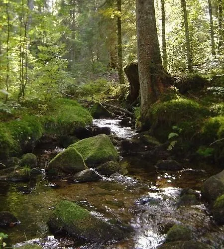 Haus Marlene Kaiser شقة *