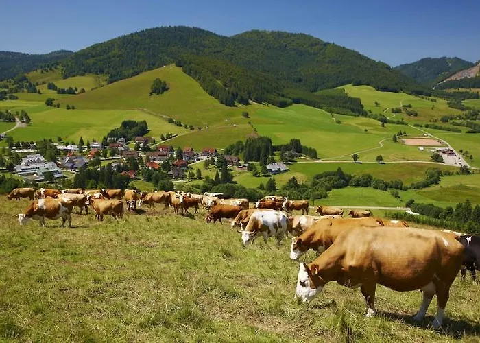 Haus Marlene Kaiser Апартаменты